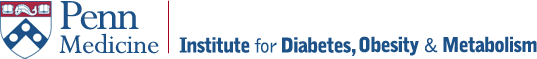 IDOM logo