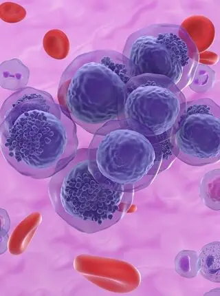 One CAR T Cell Therapy for Blood Cancers?
