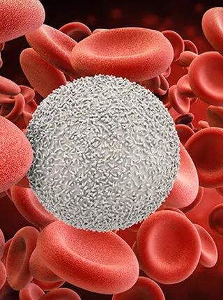 Blood cancer therapy