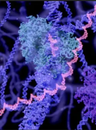 mRNA Vaccine for Cancer Shows Promise Against Melanoma