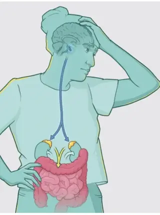 How Does Stress Affect Inflammatory Bowel Disease?