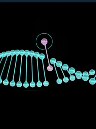 Chromosome Loss from CRISPR-Cas9 Is Common—and Swapping Steps Is Key to Stopping It
