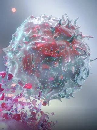 New Strategy from June Lab May Improve T-Cell Therapy in Solid Tumors