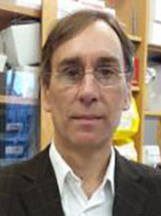 David Allman, Ph.D.