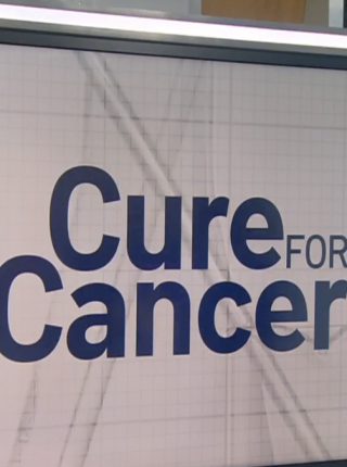 Penn Medicine Doctors Say Treatment Appears to Have Cured Patients’ Blood Cancer