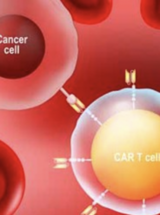 Innovation In CAR T Cell Therapy Manufacturing