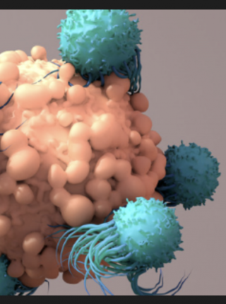 TCF-1 Protein Plays Key Role in Development of T Cells