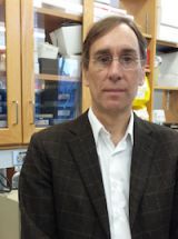 David Allman, PhD