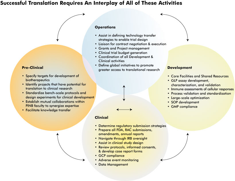 Program in Translational Therapeutics Graph of Successful Translation with Pre-Clinical, Operations, Development and Clinical Activites