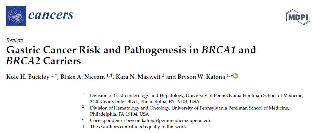 BRCA gastric cancer paper header