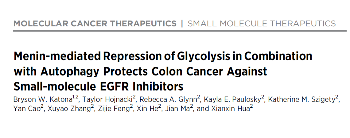 Molecular cancer therapeutics - Menin paper header