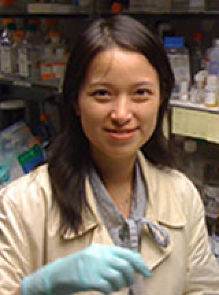 Jingqiu Chen