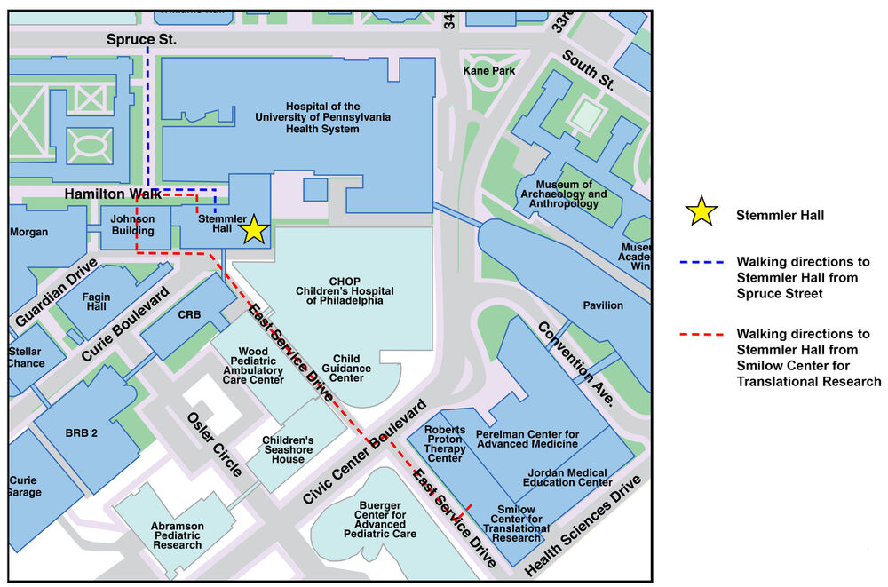Map showing walking directions to Stemmler Hall at the University of Pennsylvania Health System. Blue dashed line indicates route from Spruce Street; red dashed line indicates route from Smilow Center for Translational Research. Nearby landmarks include CHOP, Perelman Center, and Museum of Archaeology and Anthropology.