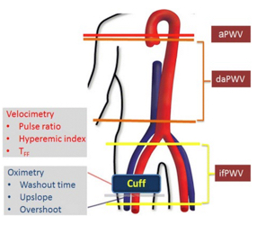 schematic-of-imaging-protocol