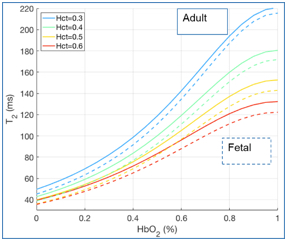 calibration-curve-of-t2-to-hb02