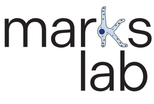 marks lab logo