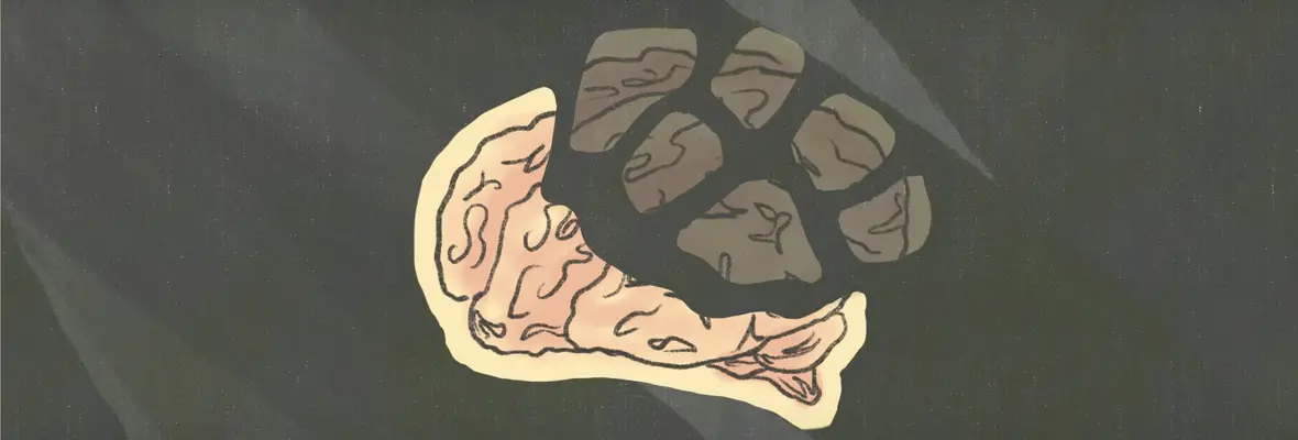 A drawn image of a brain is shown shattering into pieces on a grey background.
