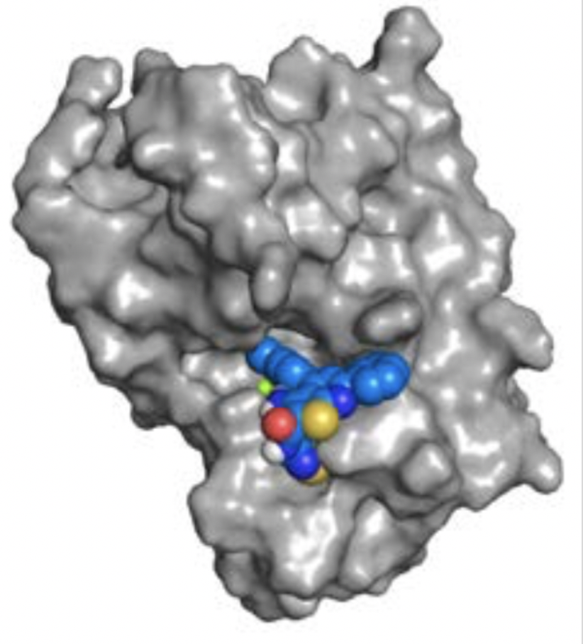 Small molecular inhibitor for a rare disease patient