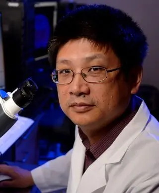 Hongjun Song, PhD