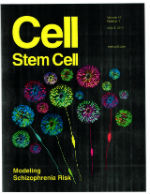 Cell Stem Cell Cover 18