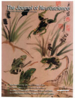 Journal of Neuroscience Cover 14