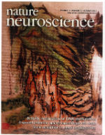 Nature Neuroscience Cover 13