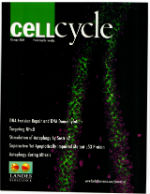 Cell Cycle Cover 8