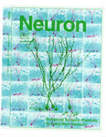 Neuron Cover 5