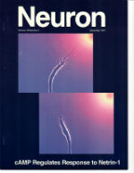 Neuron Cover 1