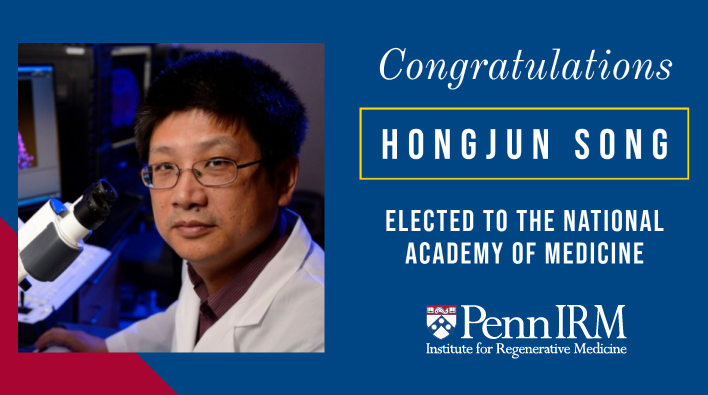 Congratulations Hongjung Song Elected to the National Academy of Medicine