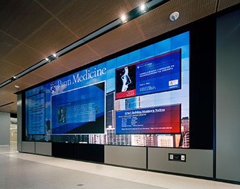 vidwall