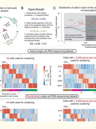 Rare Cell Detection by Single-Cell RNA Sequencing as Guided by Single-Molecule RNA FISH.