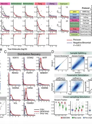 Gene expression distribution deconvolution in single-cell RNA sequencing.