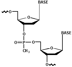 Me-phosphonate-DNA.gif (2210 bytes)