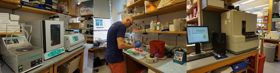Nathanson Lab