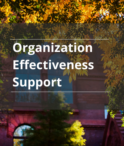 Organization Effectiveness Support
