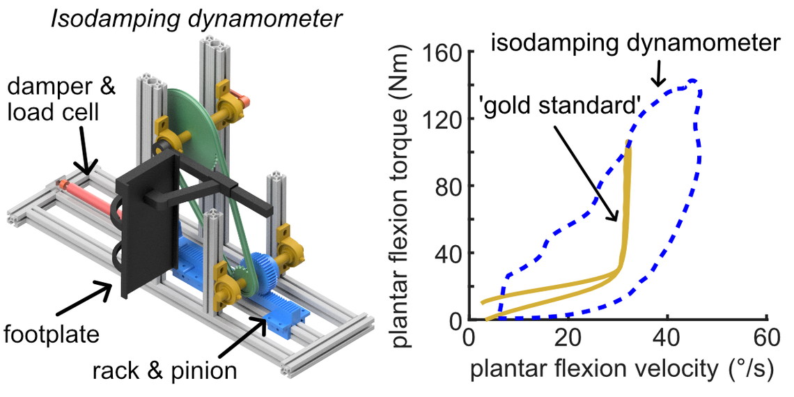 isodamping dynamometer schematic