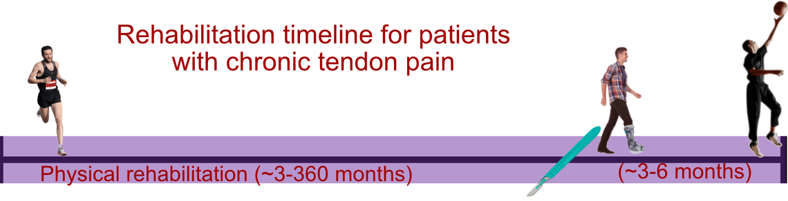cartoon showing the months-years that patients with chronic tendon pain might use physical therapy
