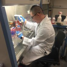 Cheng Zhou working in the tissue culture hood