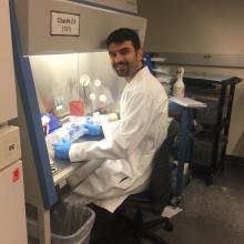 Farzad Yousefi working in tissue culture hood