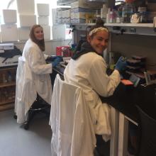 Madie Tanis and Kendra Miller working at the lab benches