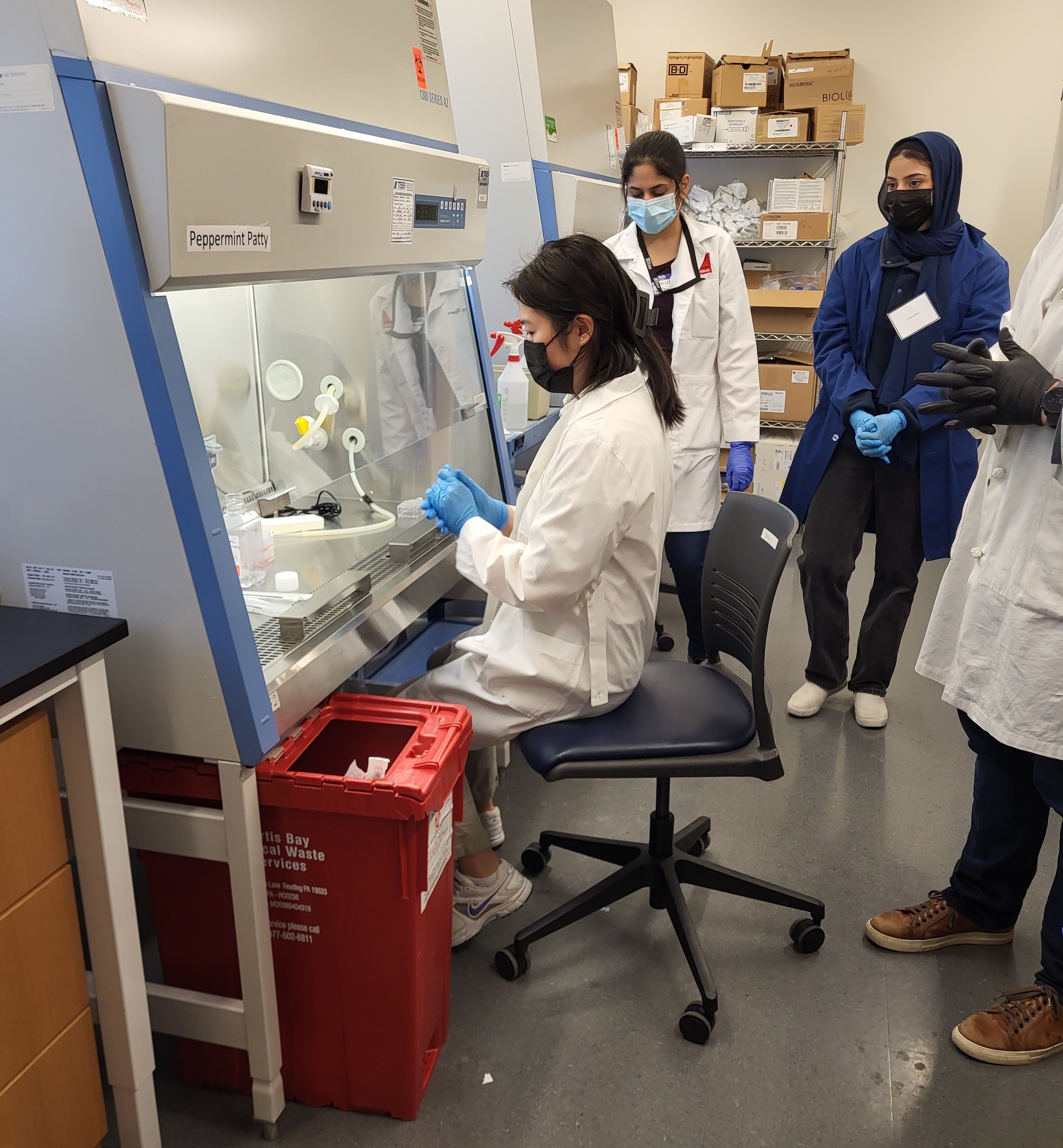 Students working in a laminar flow cabinet