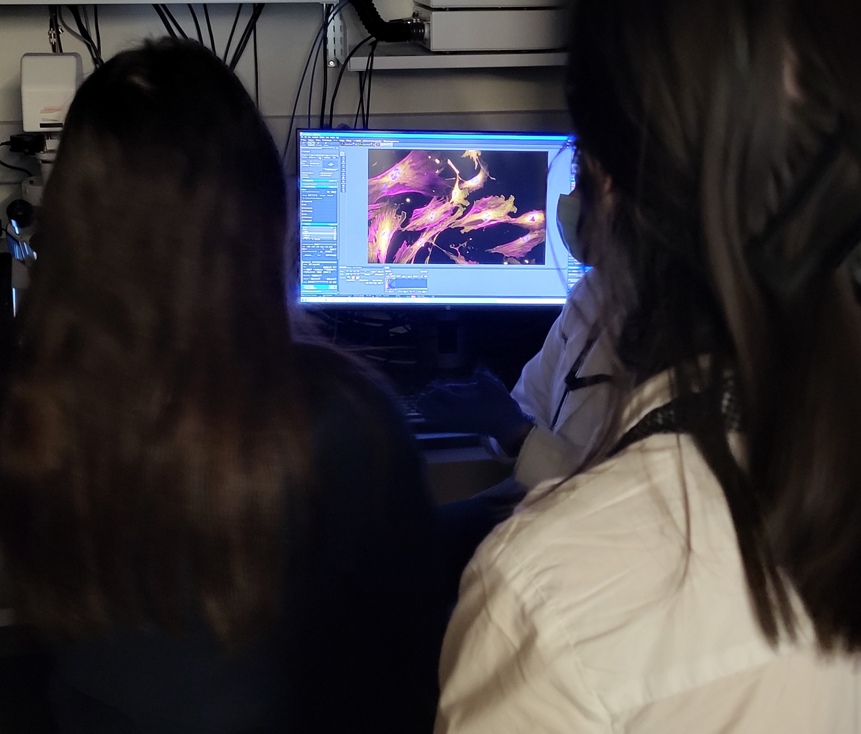 Looking over the shoulders of students using fluorescent microscope