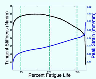 achilles tendon fatigue