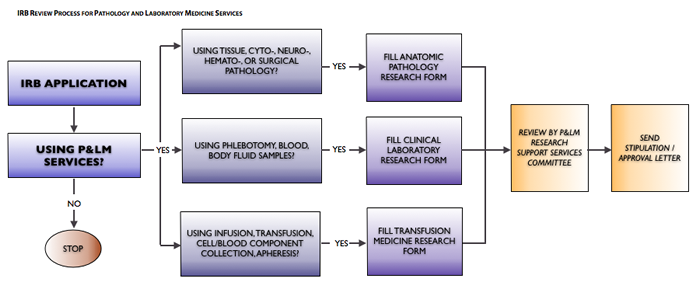 Description of Research Review Process Workflow 