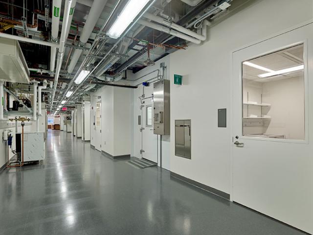 Stemmler Hall 4