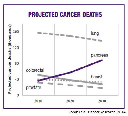 Projected Cancer Deaths Graph