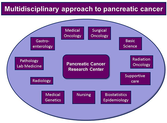 Chart of multidisciplinary approach to pancreatic cancer that includes medical oncology, surgical oncology, basic science, radiation oncology, supportive care, biostatistics epidemiology, nursing, medical genetics, radiology, pathology lab medicine. gastroenterology