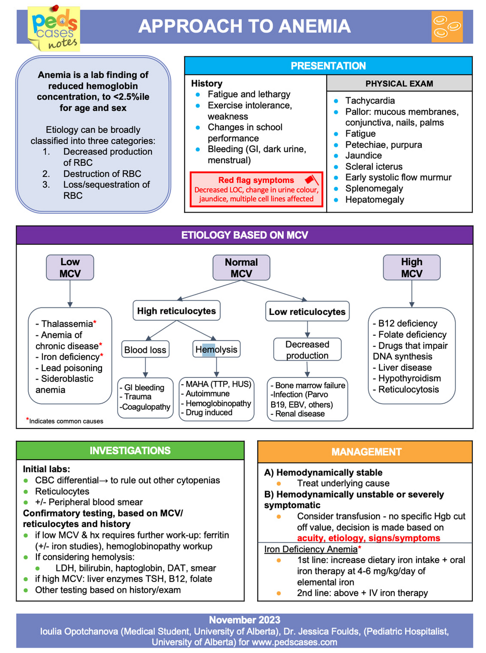 A pediatric anemia algorithm outlining key symptoms, exam findings, and causes categorized by MCV, along with recommended initial labs and management steps.