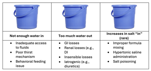 Three blue buckets representing causes of hypernatremia: not enough water intake, too much water loss, and rare increases in salt intake.